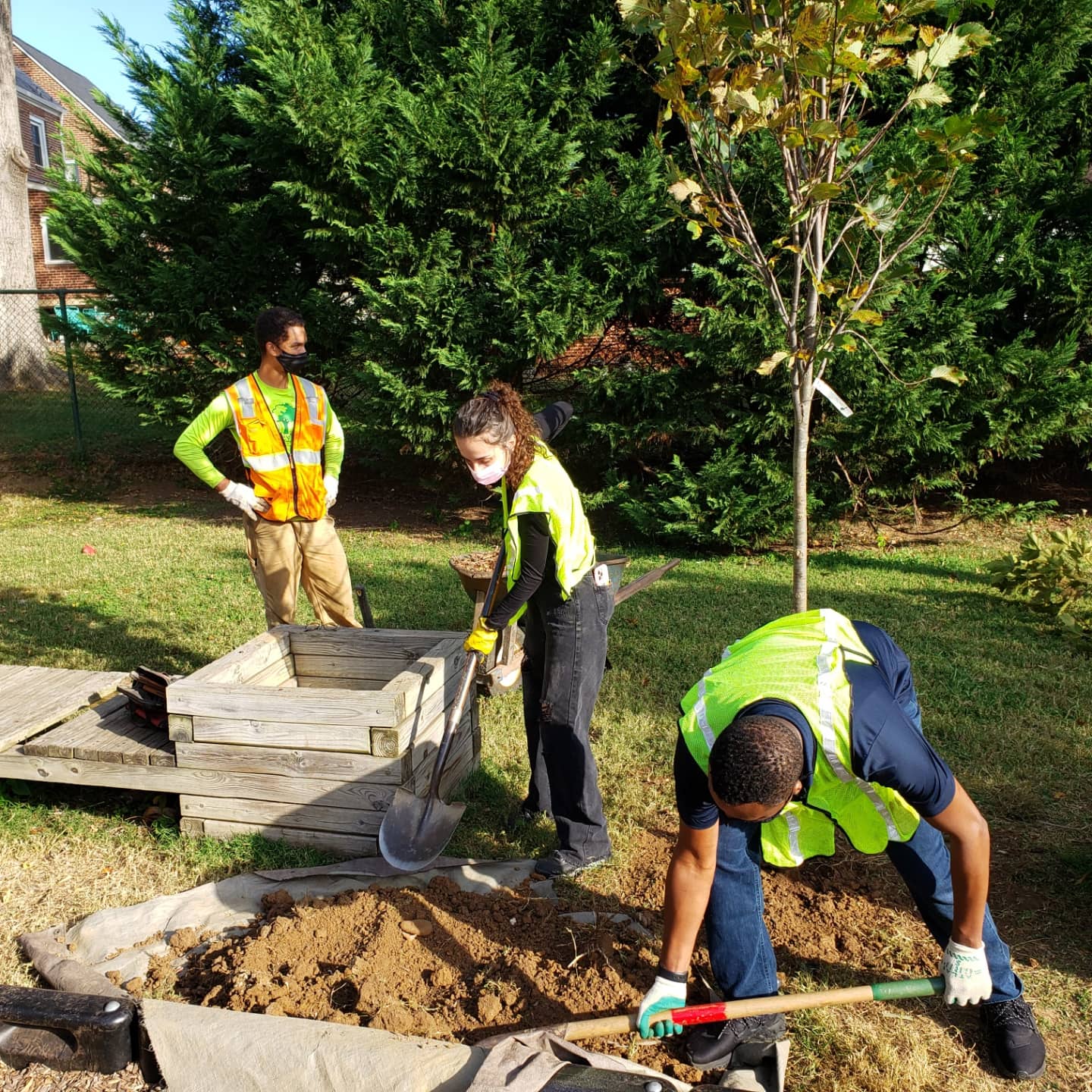 Tree Planting with Green Compass and Casey Trees
